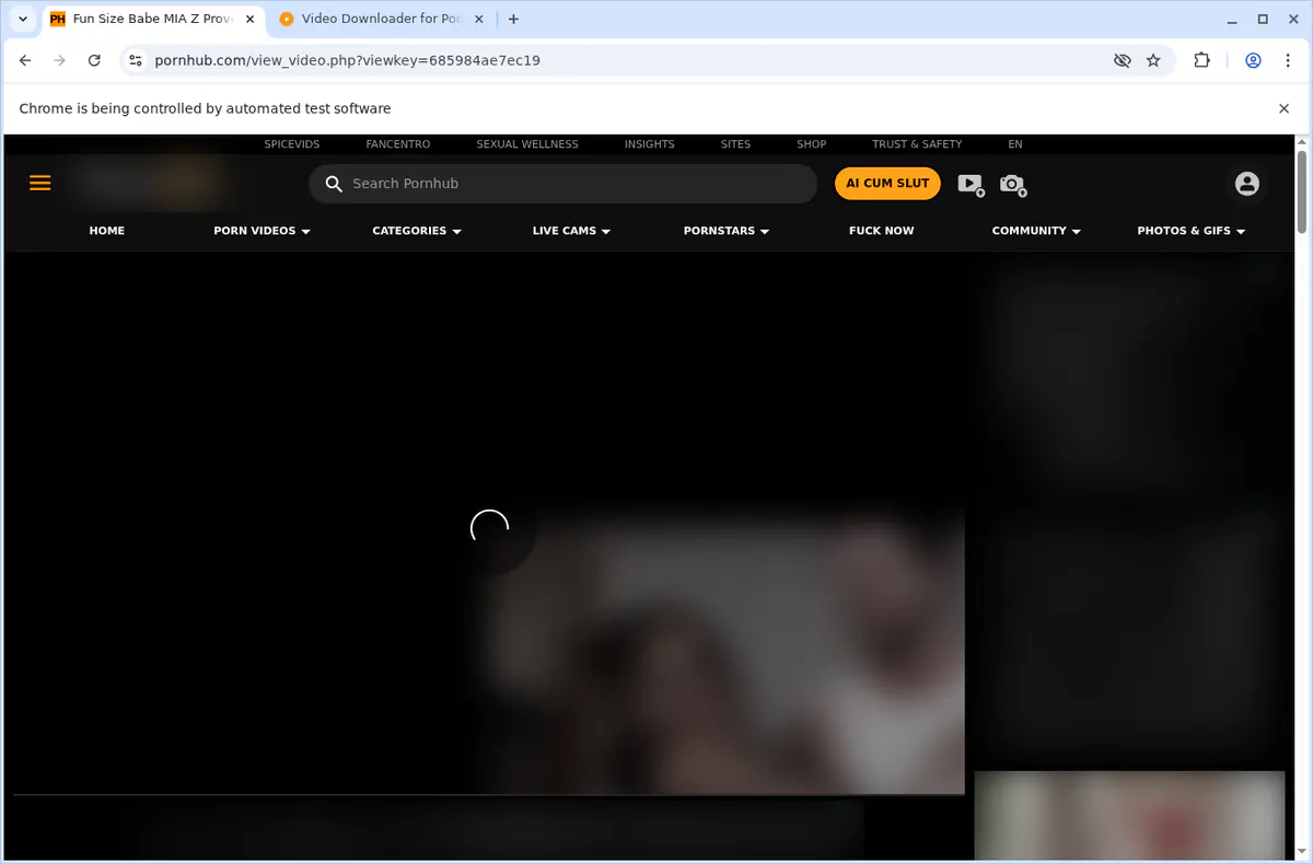 Pornhub Video Downloader screenshot 3